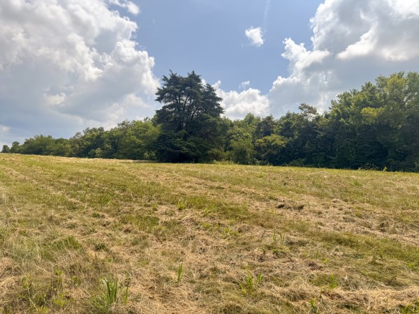 Tract 8 at Skyline Acres property photo