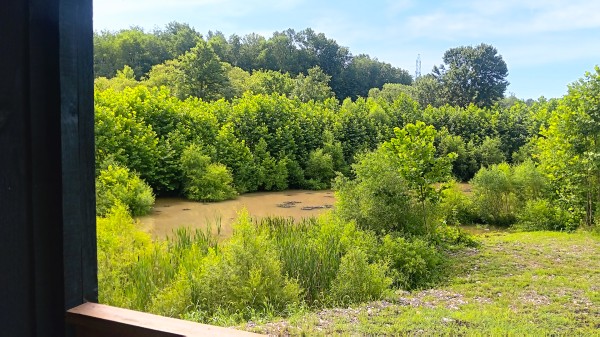 Catch and Relax Cabin w/ Pond and Creek property photo
