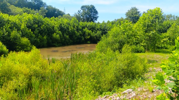 Catch and Relax Cabin w/ Pond and Creek property photo