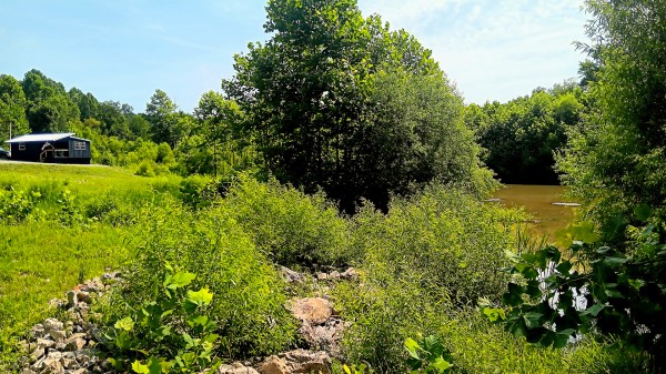 Catch and Relax Cabin w/ Pond and Creek property photo