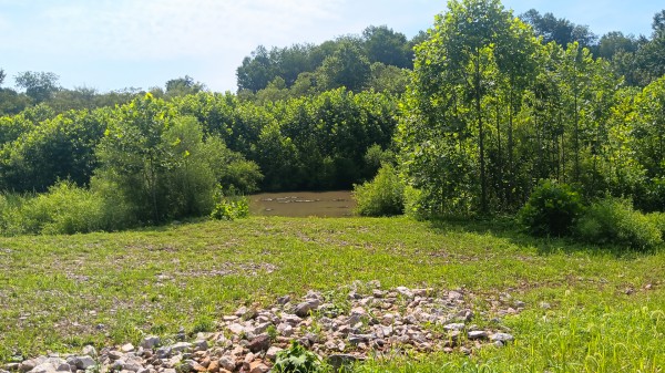 Catch and Relax Cabin w/ Pond and Creek property photo