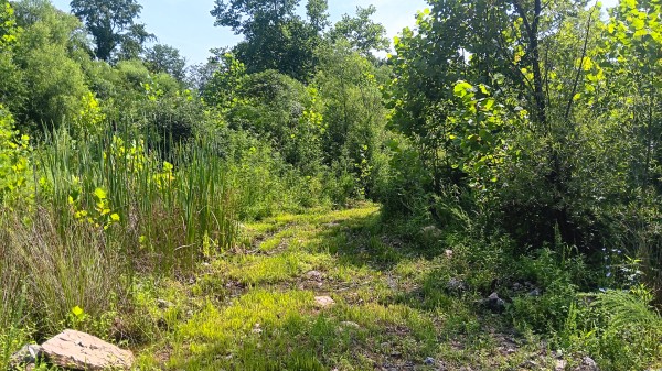 Catch and Relax Cabin w/ Pond and Creek property photo