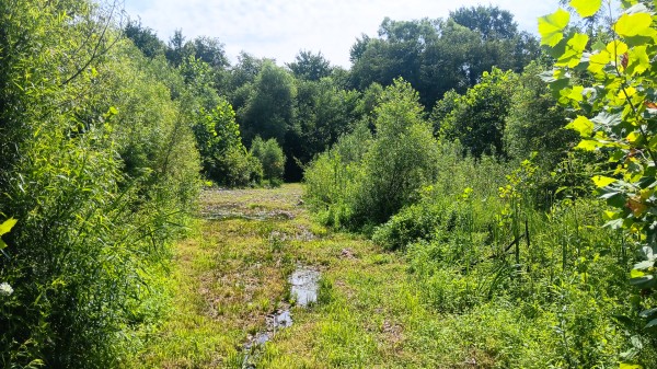 Catch and Relax Cabin w/ Pond and Creek property photo