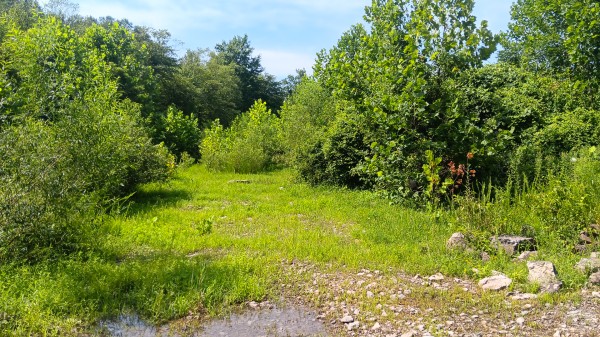 Catch and Relax Cabin w/ Pond and Creek property photo
