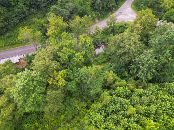 Catch and Relax Cabin w/ Pond and Creek property photo