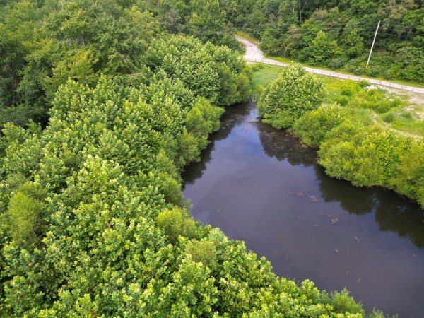Catch and Relax Cabin w/ Pond and Creek property photo