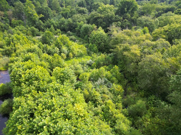Catch and Relax Cabin w/ Pond and Creek property photo
