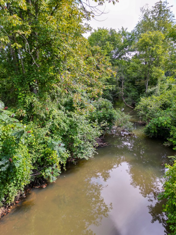 Catch and Relax Cabin w/ Pond and Creek property photo