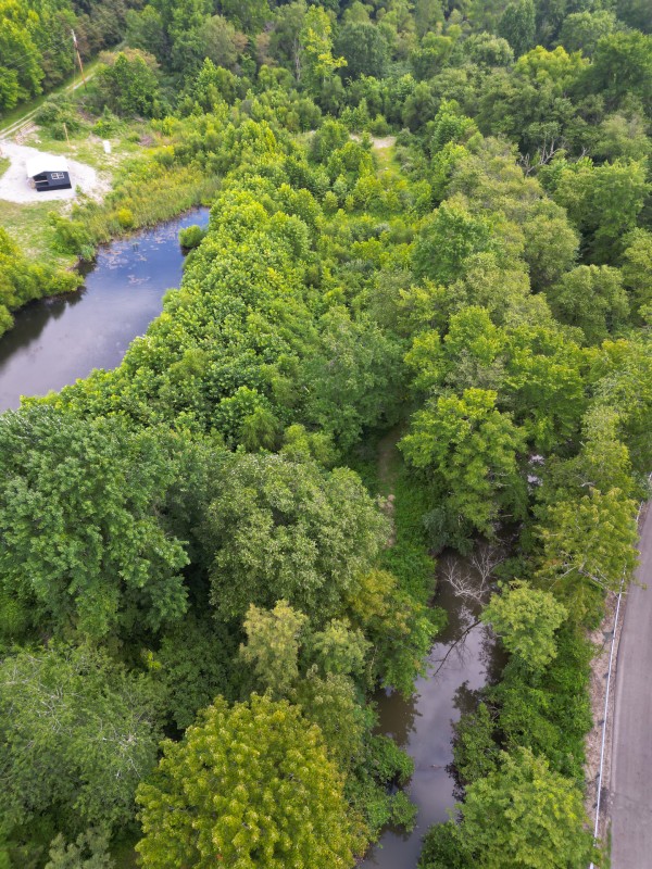 Catch and Relax Cabin w/ Pond and Creek property photo