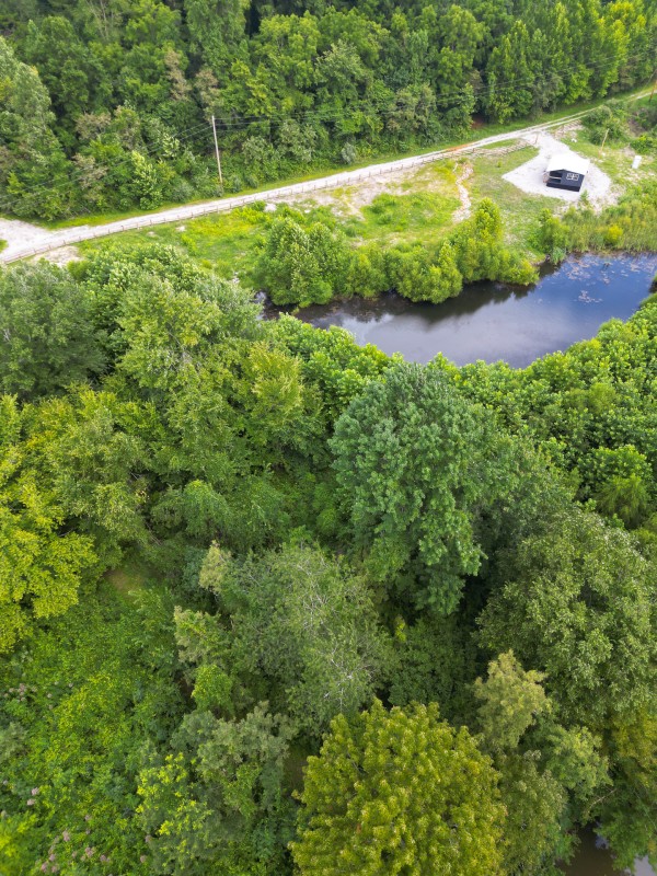 Catch and Relax Cabin w/ Pond and Creek property photo