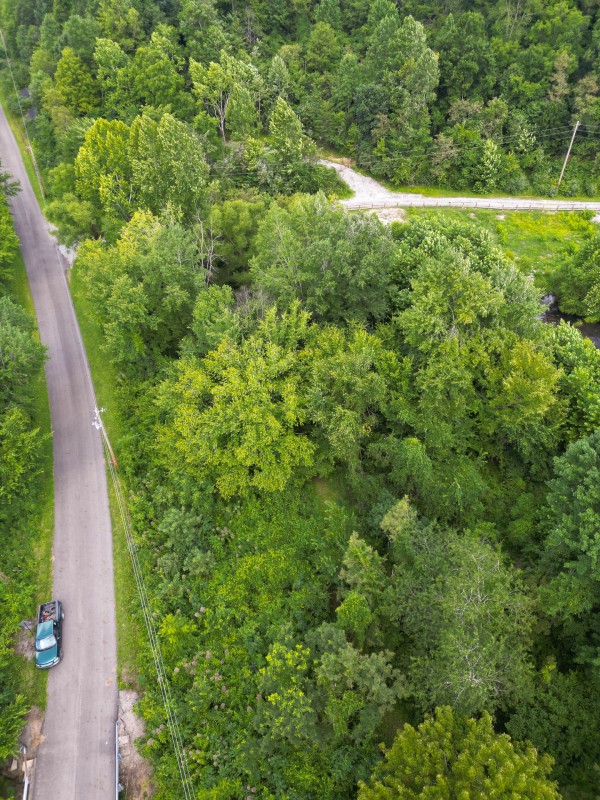 Catch and Relax Cabin w/ Pond and Creek property photo