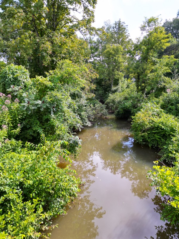 Catch and Relax Cabin w/ Pond and Creek property photo