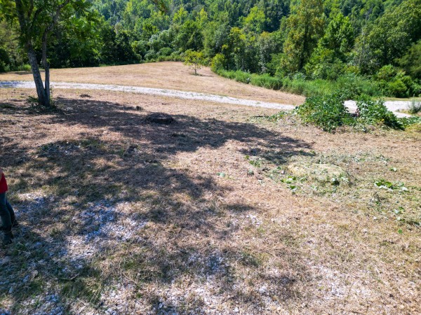 Tract 6b at Crown Wildlife Retreat property photo