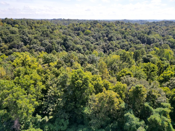 Tract 6b at Crown Wildlife Retreat property photo