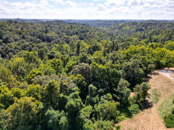 Tract 6b at Crown Wildlife Retreat property photo