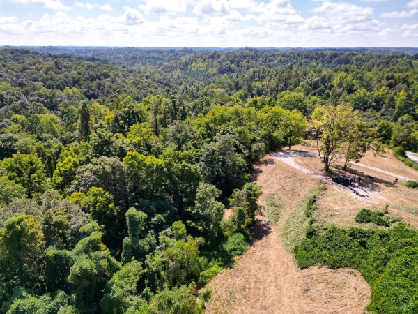 Tract 6b at Crown Wildlife Retreat property photo