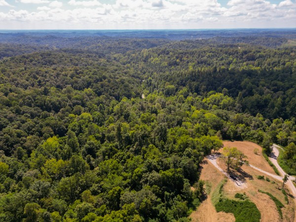 Tract 6b at Crown Wildlife Retreat property photo