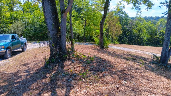 Tract 6b at Crown Wildlife Retreat property photo