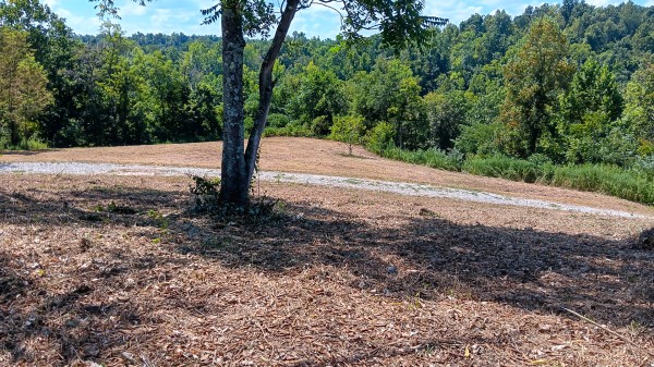 Tract 6b at Crown Wildlife Retreat property photo