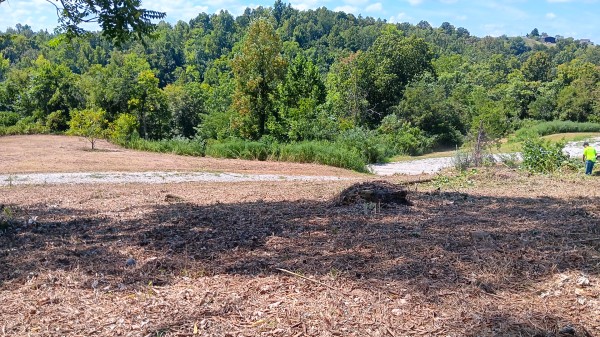 Tract 6b at Crown Wildlife Retreat property photo