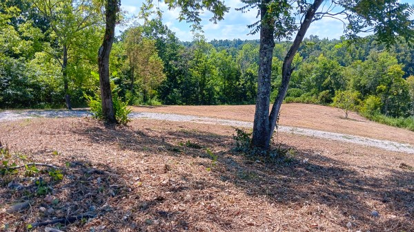 Tract 6b at Crown Wildlife Retreat property photo