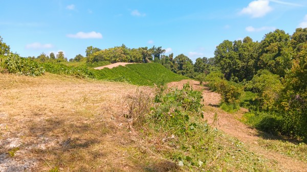 Tract 6b at Crown Wildlife Retreat property photo