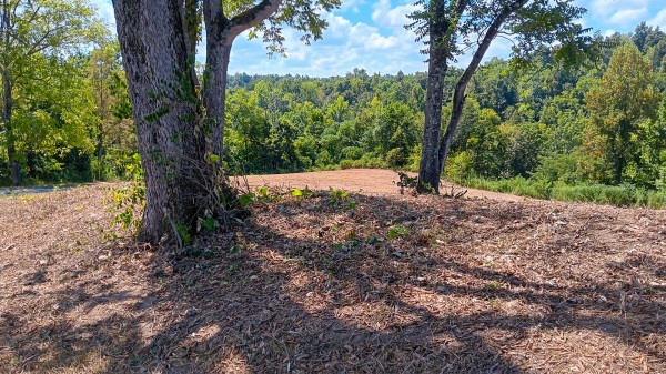 Tract 6b at Crown Wildlife Retreat property photo