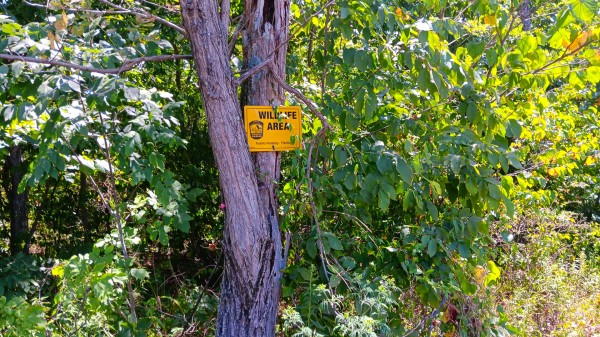 Tract 6b at Crown Wildlife Retreat property photo