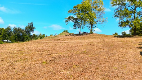 Tract 6b at Crown Wildlife Retreat property photo