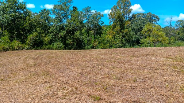 Tract 6b at Crown Wildlife Retreat property photo