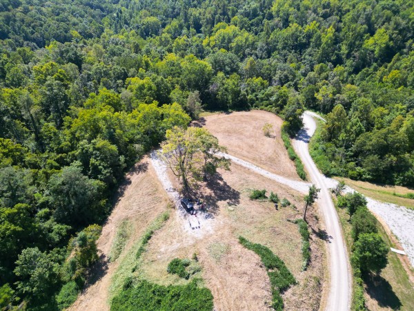 More of Tract 6b at Crown Wildlife Retreat