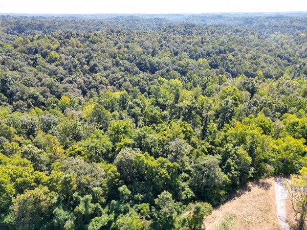 More of Tract 6b at Crown Wildlife Retreat