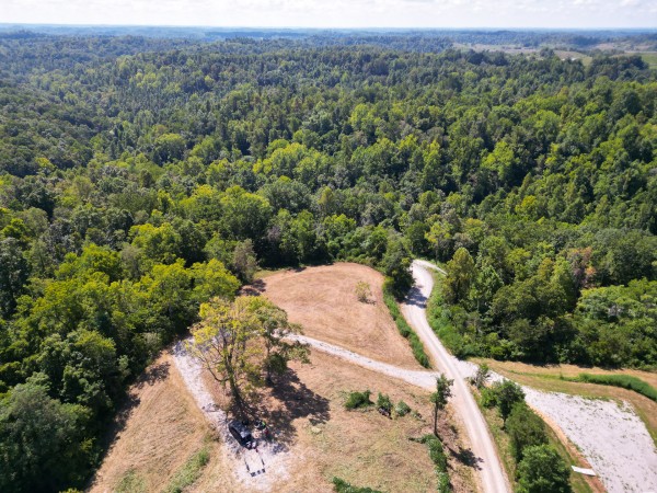 More of Tract 6b at Crown Wildlife Retreat