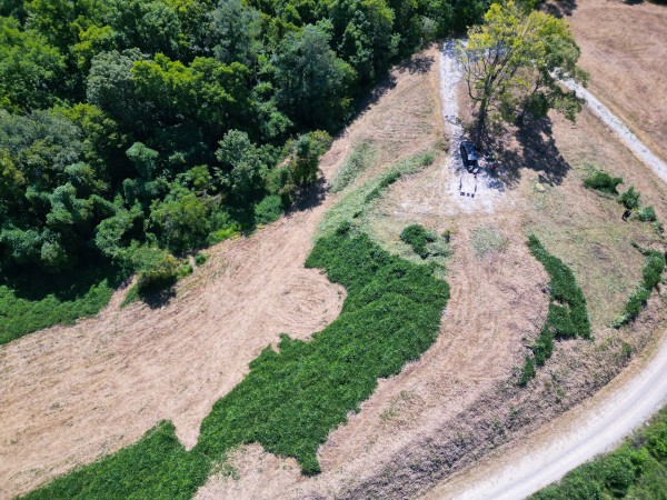 Tract 6b at Crown Wildlife Retreat property photo