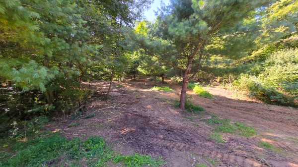 The Woods at Scenic Lake property photo