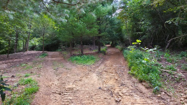 The Woods at Scenic Lake property photo