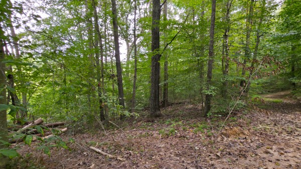 The Woods at Scenic Lake property photo