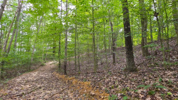 The Woods at Scenic Lake property photo