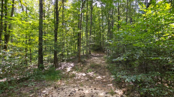 The Woods at Scenic Lake property photo