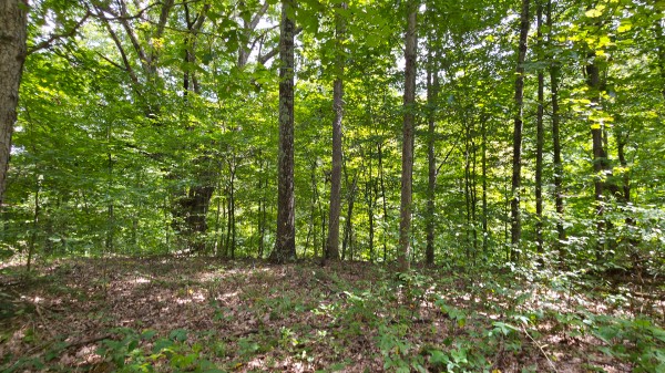 The Woods at Scenic Lake property photo