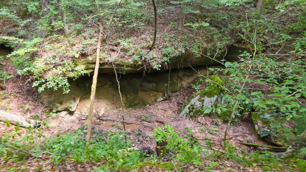 The Woods at Scenic Lake property photo