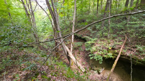 The Woods at Scenic Lake property photo
