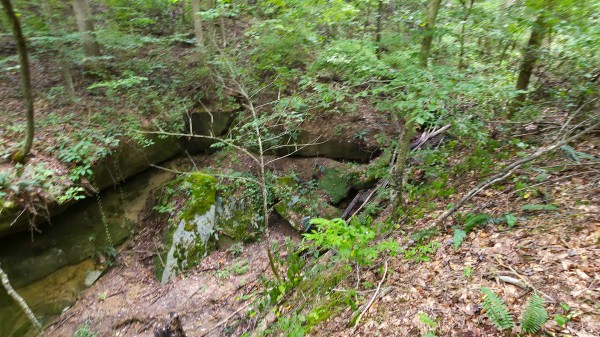 The Woods at Scenic Lake property photo