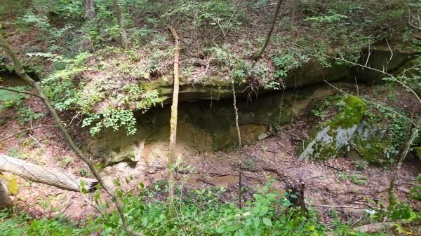 The Woods at Scenic Lake property photo