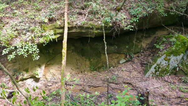 The Woods at Scenic Lake property photo