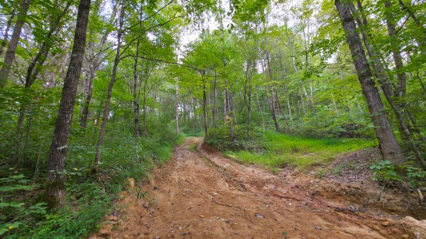 The Woods at Scenic Lake property photo