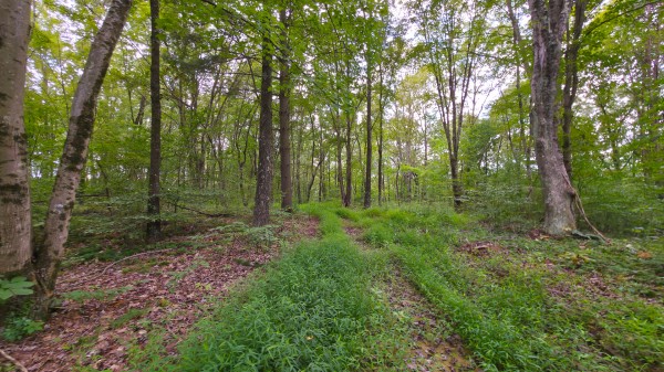 The Woods at Scenic Lake property photo