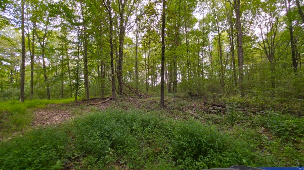 The Woods at Scenic Lake property photo