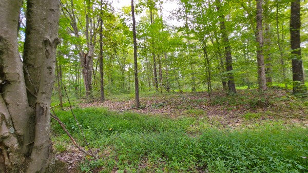 The Woods at Scenic Lake property photo