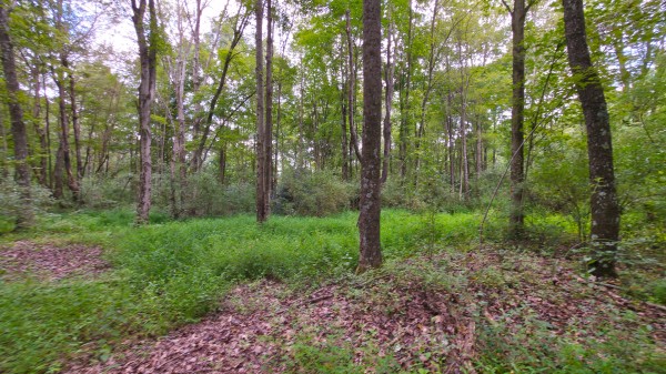 The Woods at Scenic Lake property photo